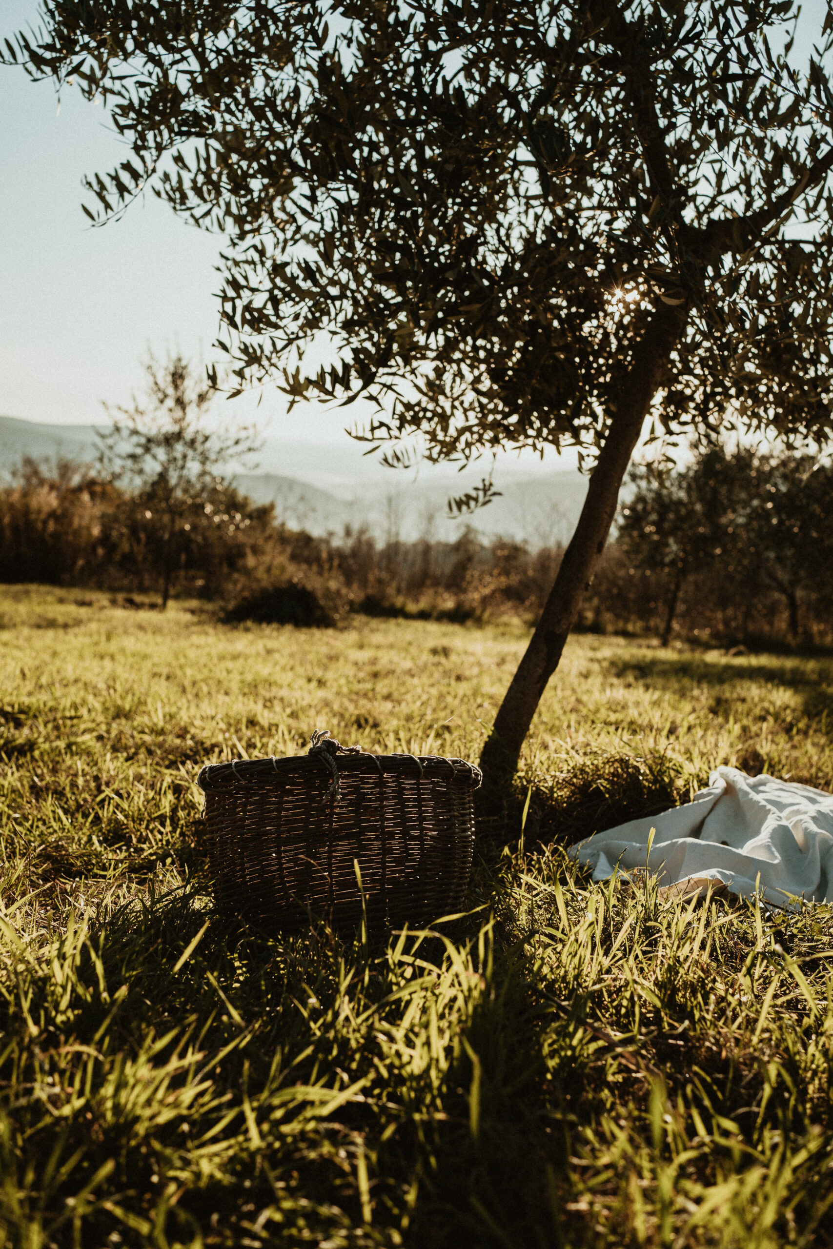 family photographer tuscany 24 scaled