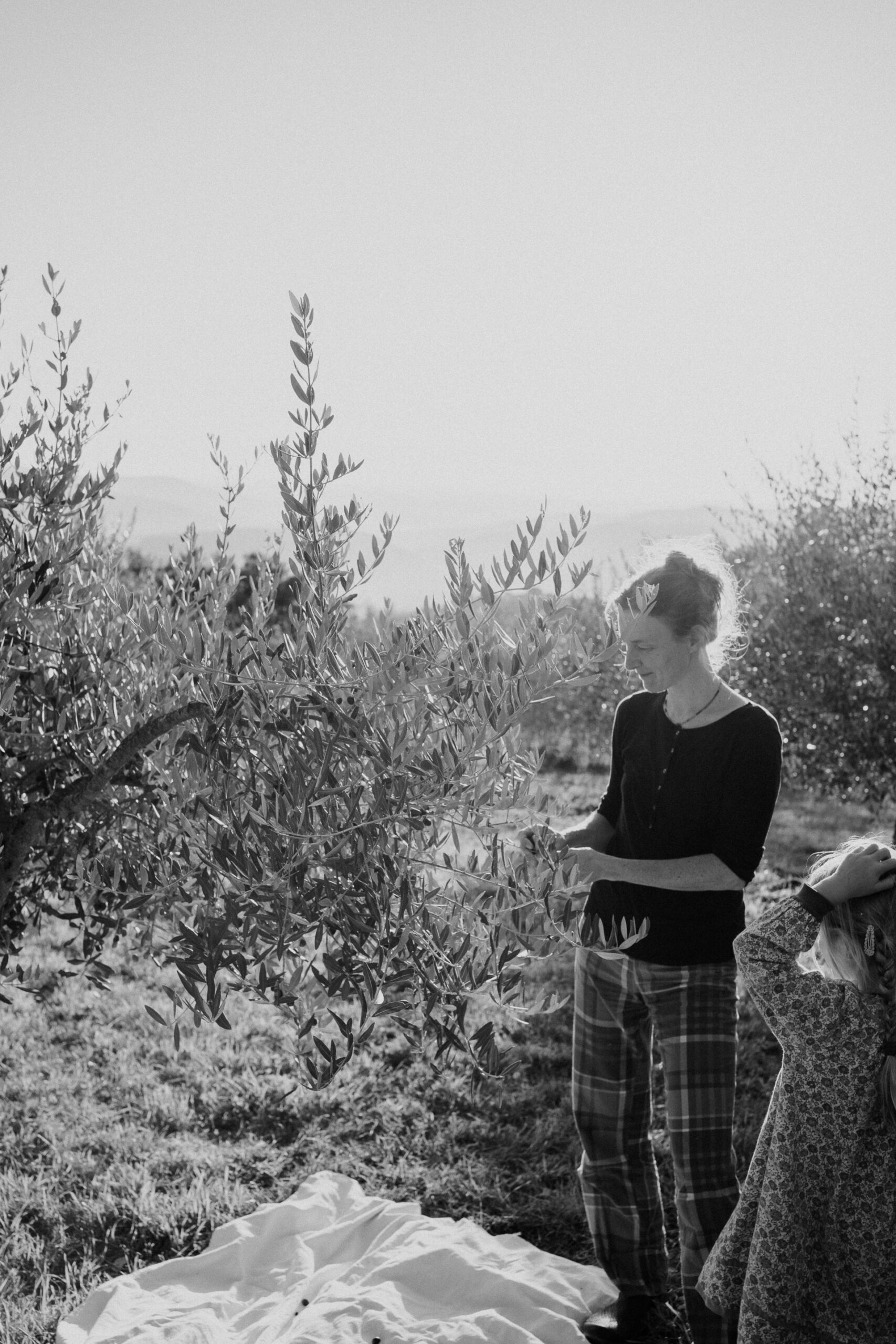 family photographer tuscany 25 scaled